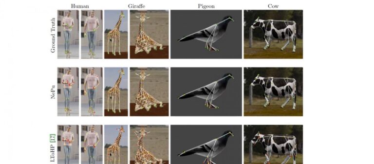 Concevoir un « marionnettiste neuronal » pour reconnaître les nœuds squelettiques
