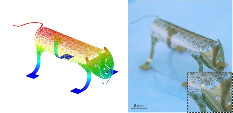 Méthode de conception inverse utilisée pour améliorer la texture de surface poreuse des objets imprimés en 3D

