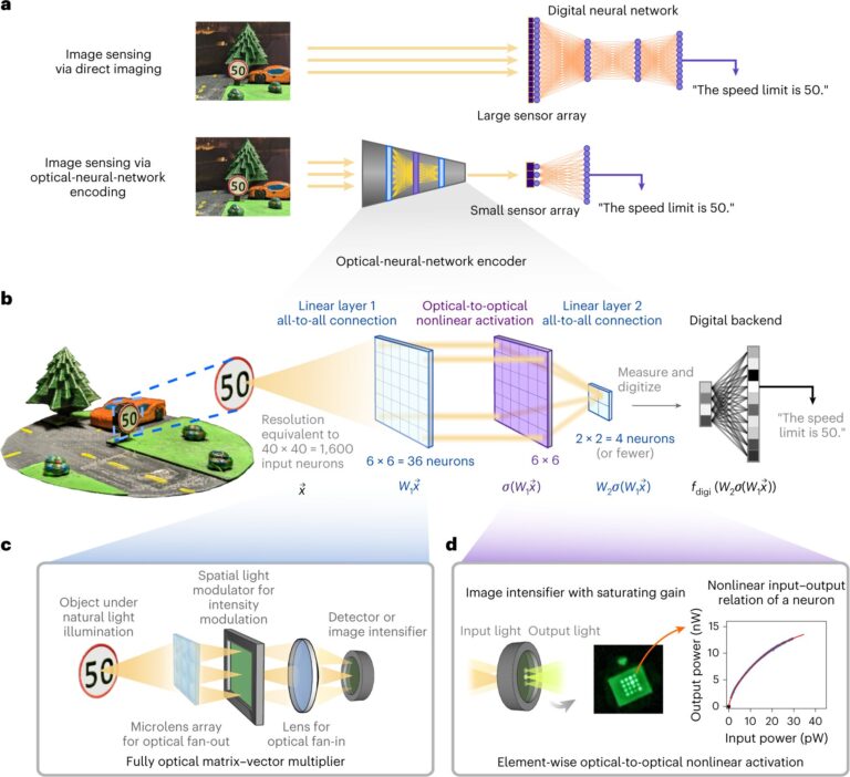Les réseaux de neurones optiques sont prometteurs pour le traitement d'images
