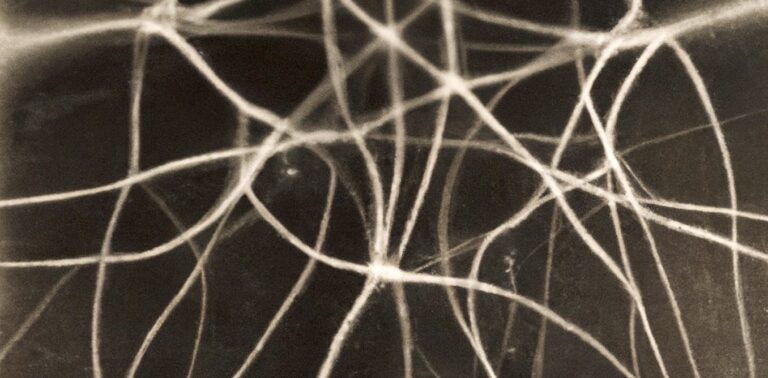 Les réseaux de nanofils d'argent semblent apprendre et se souvenir, un peu comme notre cerveau
