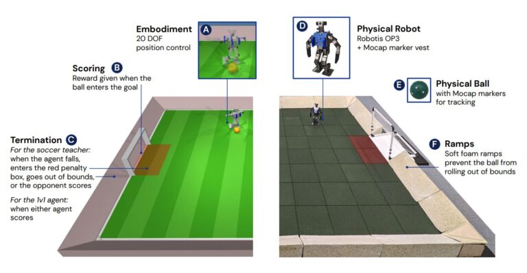 Renversés mais pas vaincus : les robots apprennent le football
