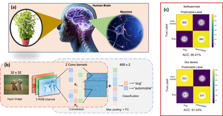 Un système nerveux de perception visuelle artificielle utilisant un capteur de lumière en mémoire pouvant être traité en solution
