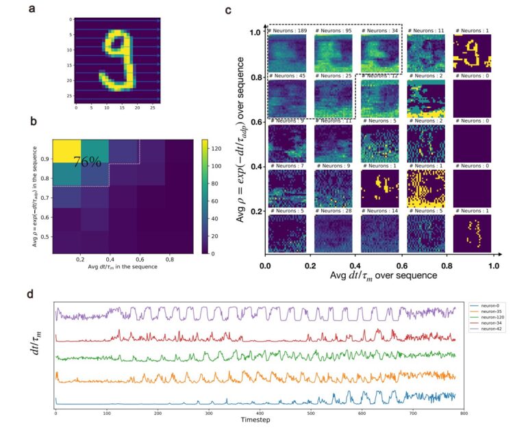 Une étude présente de grands réseaux neuronaux de type cerveau pour l'IA
