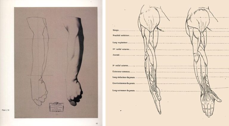 Étudier l'histoire de l'art pour comprendre l'évolution de l'IA
