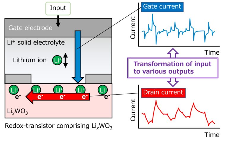 Des chercheurs développent un transistor redox comme système réservoir pour l'informatique neuromorphique
