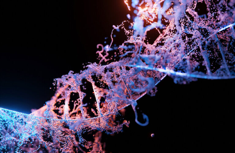Des scientifiques construisent un système capable de générer des modèles d'IA pour la recherche en biologie
