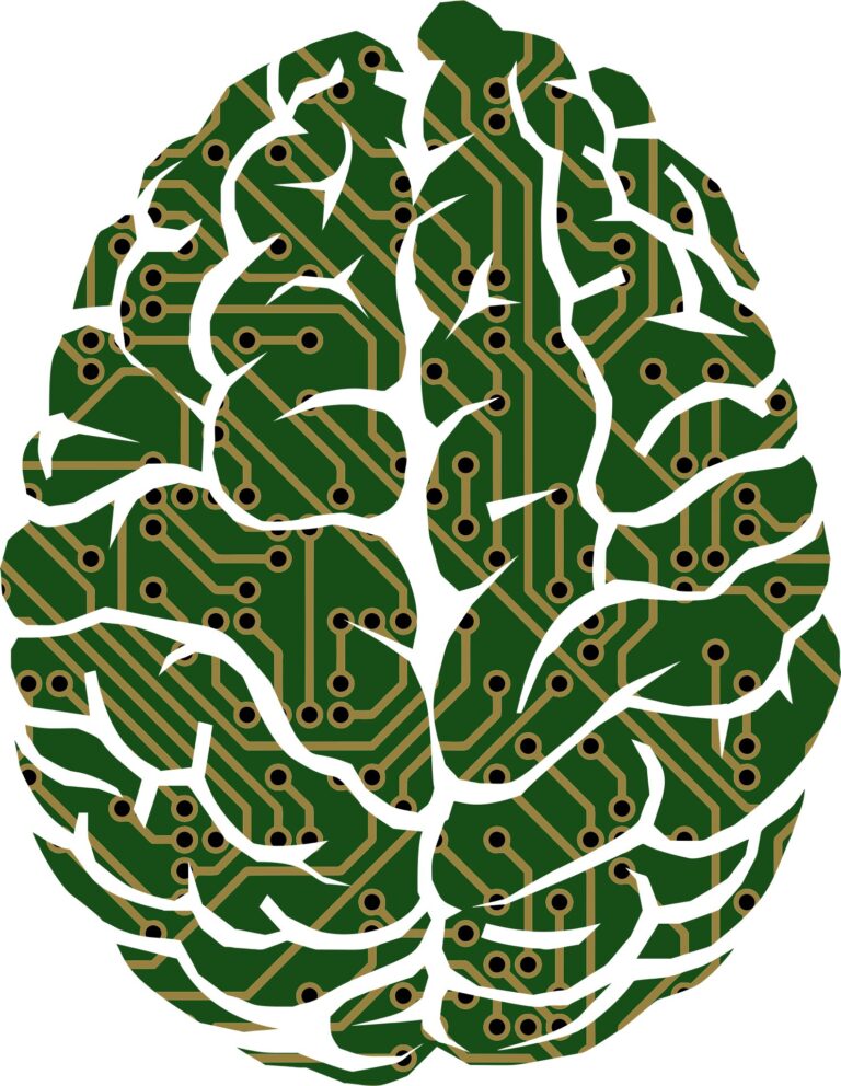 Les futurs algorithmes d'IA ont le potentiel d'apprendre comme les humains, selon des chercheurs
