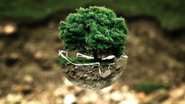 Expérimenter et apprendre de la robotique et des systèmes autonomes dans l'environnement
