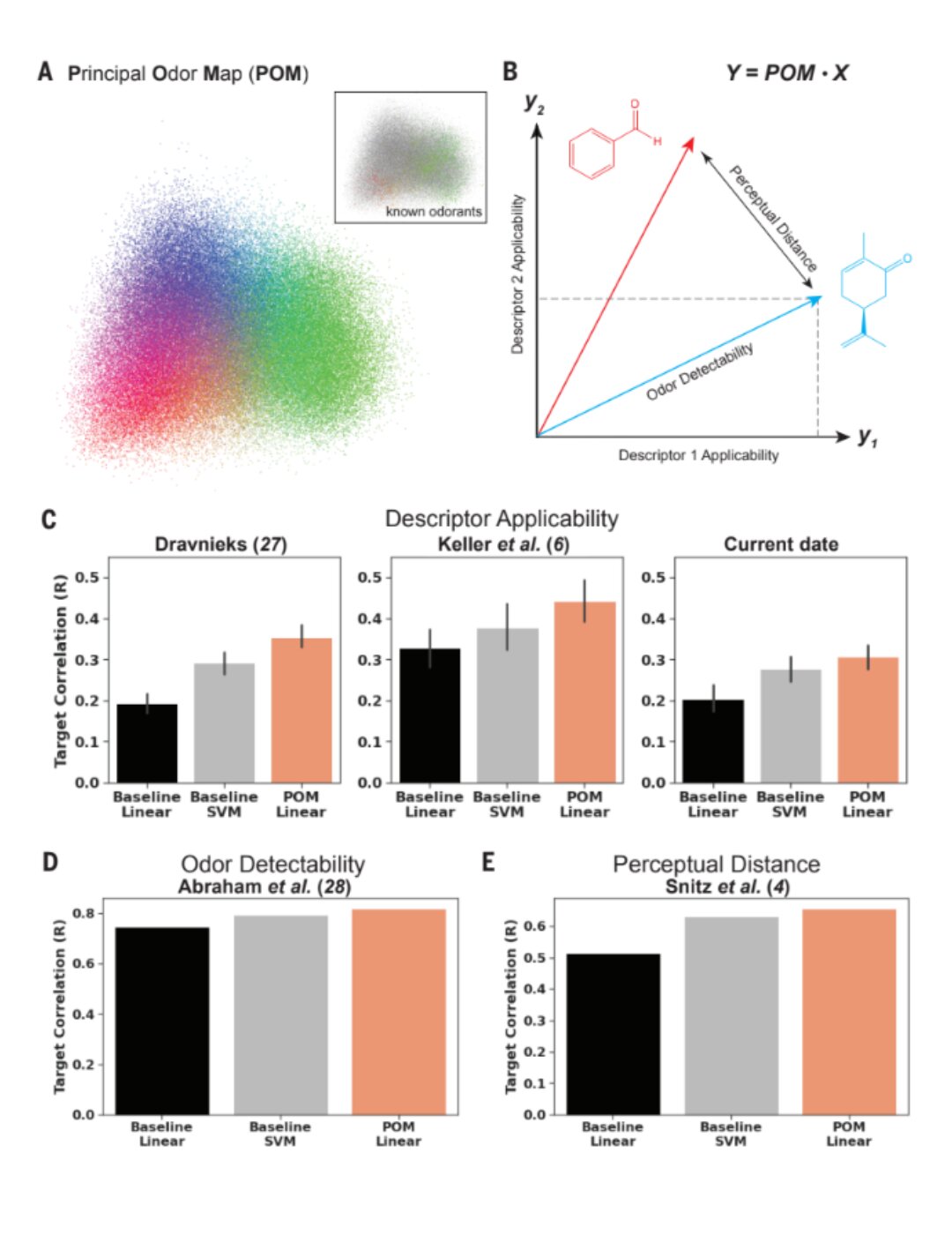 Le modèle décrit mieux les odeurs que les panélistes humains