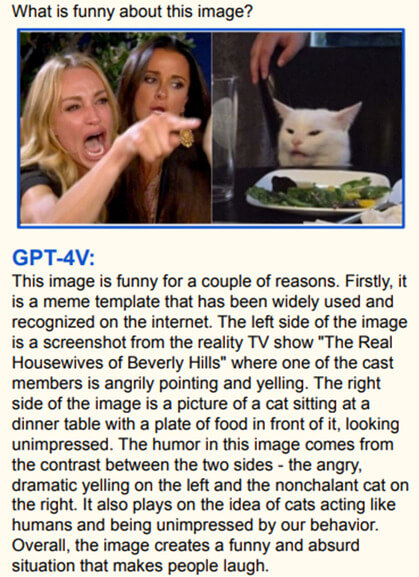 Image contenant du texte, Visage humain, journal, chat Description générée automatiquement