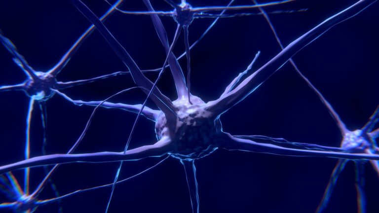 Que se passerait-il si la neurotechnologie apprenait à lire dans nos pensées ?
