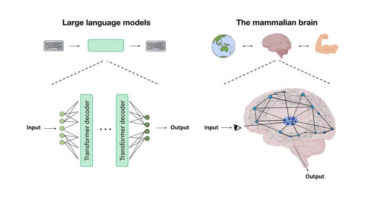 Appliquer une lentille neuroscientifique à la faisabilité de la conscience artificielle
