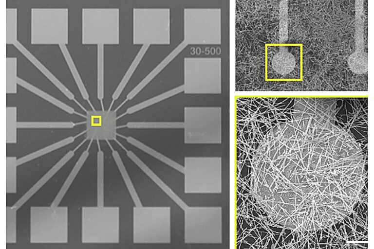 Un système informatique expérimental de type cerveau plus précis grâce à un algorithme personnalisé
