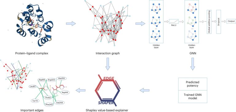 L'intelligence artificielle pour la découverte de médicaments offre des résultats inattendus
