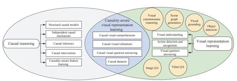 Le raisonnement causal rencontre l’apprentissage des représentations visuelles : une étude prospective
