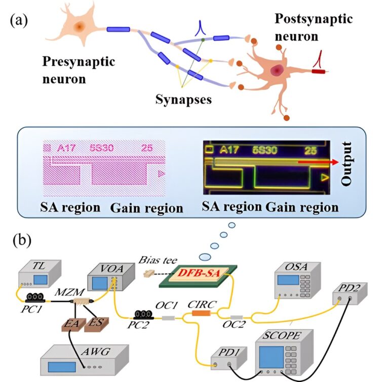 Réseaux de neurones à pointe photonique multi-synaptique basés sur une puce DFB-SA
