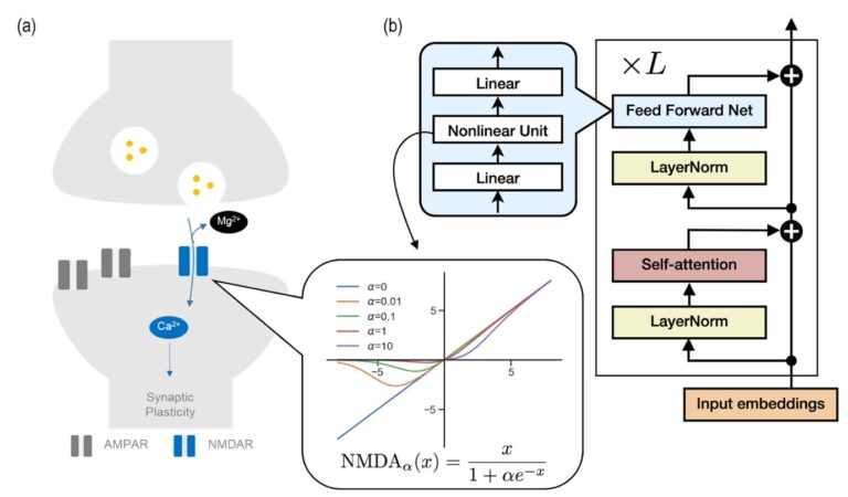 Le mécanisme de formation de la mémoire de l’IA s’avère étonnamment similaire à celui du cerveau
