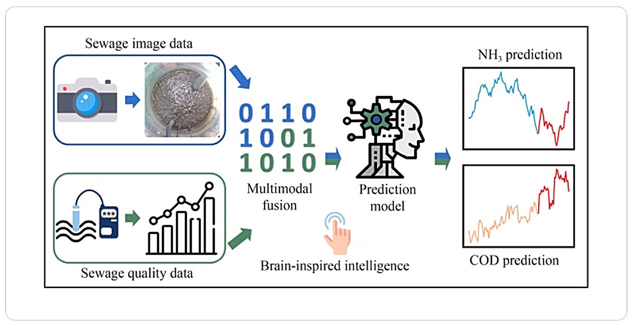 Un modèle inspiré du cerveau améliore les prévisions en matière de traitement des eaux usées