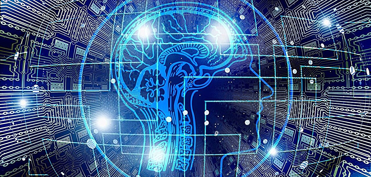De nouvelles connaissances sur la manière dont le cerveau ajuste les connexions synaptiques pendant l’apprentissage pourraient inspirer une IA plus robuste