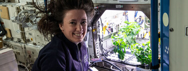 La microgravité justifie à elle seule toute expérimentation dans l’espace.  Ce sont les raisons