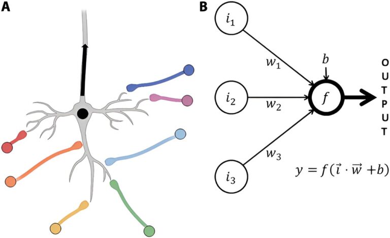 Explorer l'utilisation de microrésonateurs de silicium pour les réseaux de neurones artificiels
