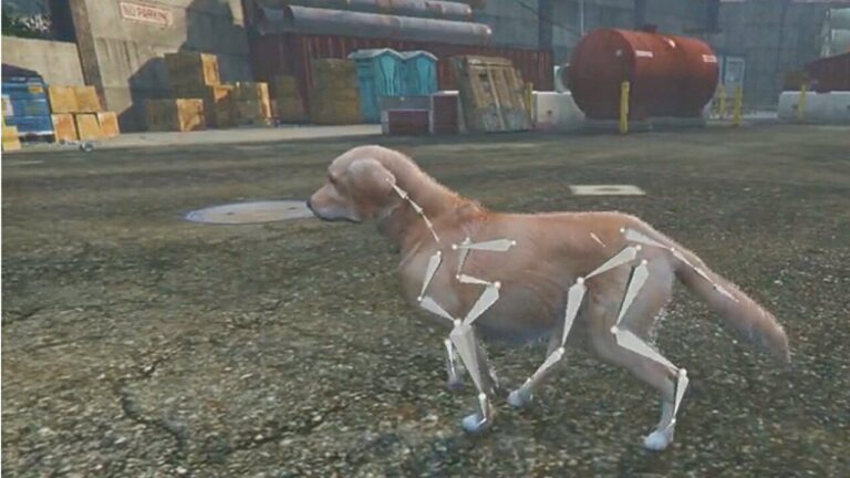 Grand Theft Auto et l'IA aident l'équipe à transformer des photos de chiens en modèles 3D
