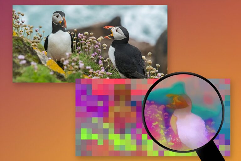 Un nouvel algorithme débloque des informations haute résolution pour la vision par ordinateur
