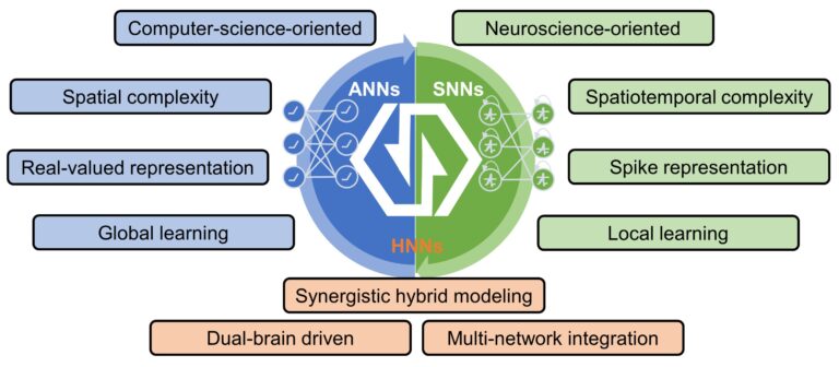 Faire progresser l’informatique inspirée du cerveau grâce aux réseaux de neurones hybrides

