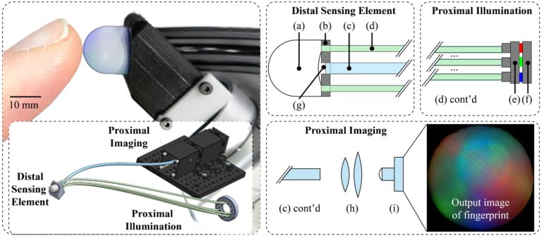 Un capteur tactile miniaturisé basé sur la vision et basé sur des faisceaux de fibres optiques
