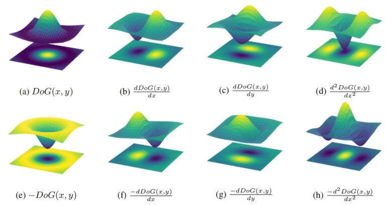 Des chercheurs étudiant la manière dont l’IA catégorise les images découvrent des similitudes avec les systèmes visuels naturels
