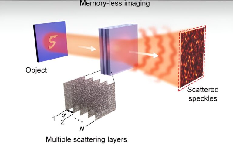 Les réseaux neuronaux optiques convolutifs annoncent une nouvelle ère pour l'imagerie IA
