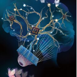 Un nouveau circuit neuronal dendritique artificiel inspiré du cerveau