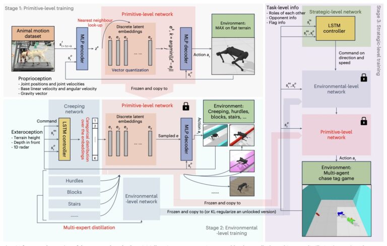 Un nouveau cadre permet des mouvements agiles de type animal chez les robots à quatre pattes
