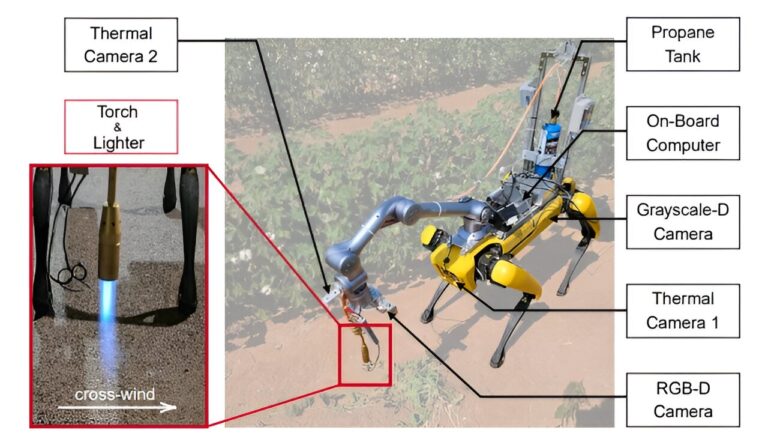 Robot Spot configuré pour trouver et assommer les mauvaises herbes à l'aide d'un chalumeau
