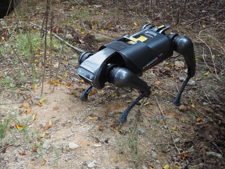 Des chercheurs entraînent un chien robot à lutter contre les fourmis de feu invasives
