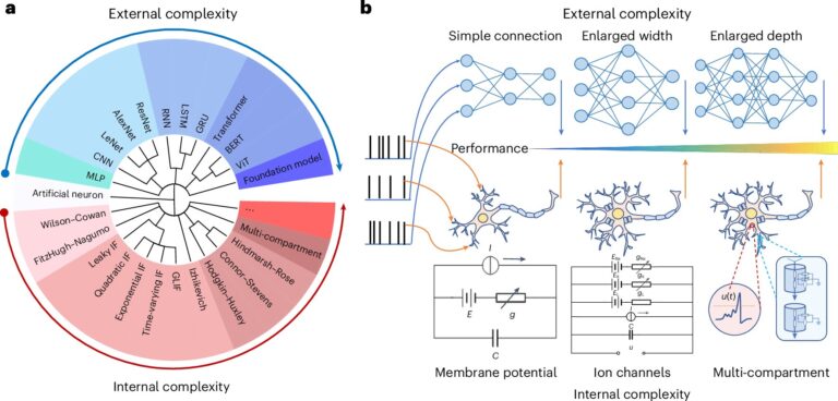 Des scientifiques établissent un modèle de réseau inspiré du cerveau pour relier l'IA et les neurosciences
