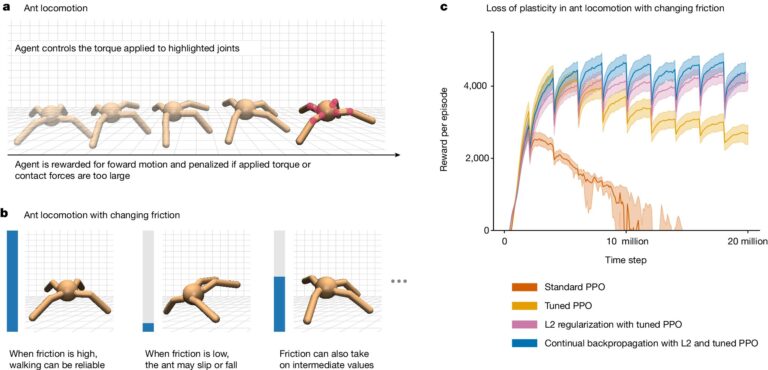 Une équipe de recherche propose une solution au problème d'apprentissage continu de l'IA
