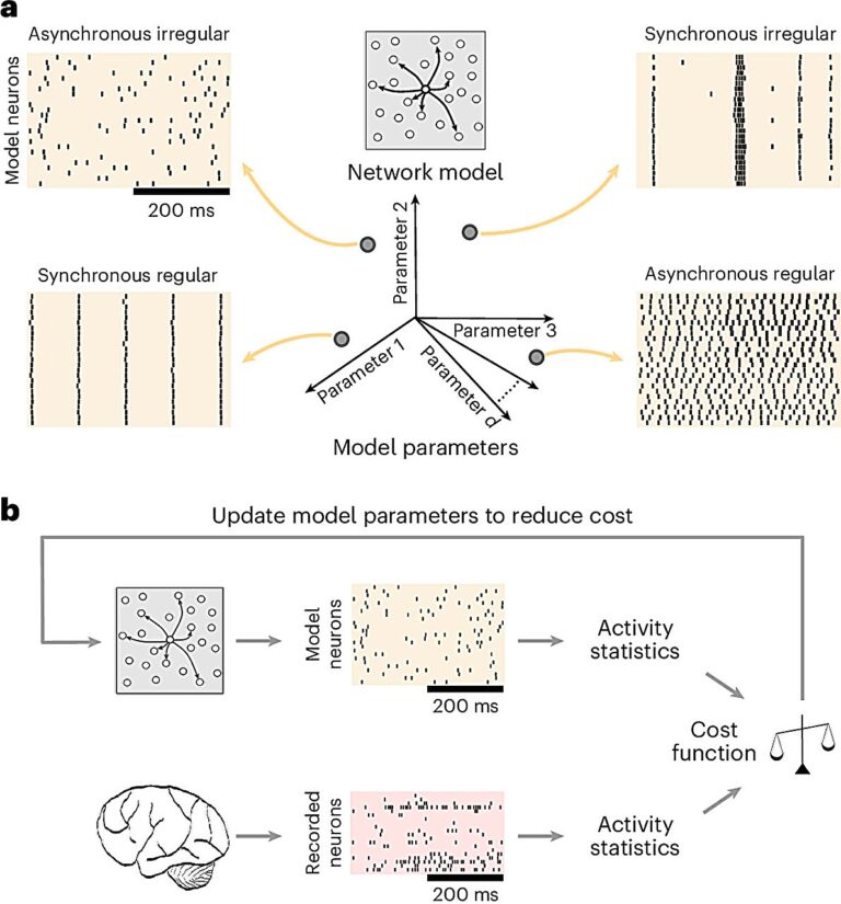 Un nouveau cadre permet le réglage automatisé de modèles neuronaux à grande échelle
