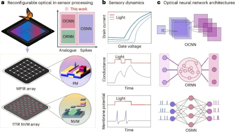 Les ingénieurs développent un dispositif qui fusionne les fonctions de détection et de calcul pour une plateforme informatique reconfigurable
