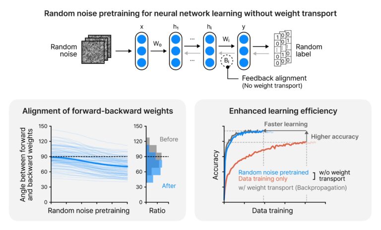 Contourner une frustration de longue date dans l'informatique neuronale
