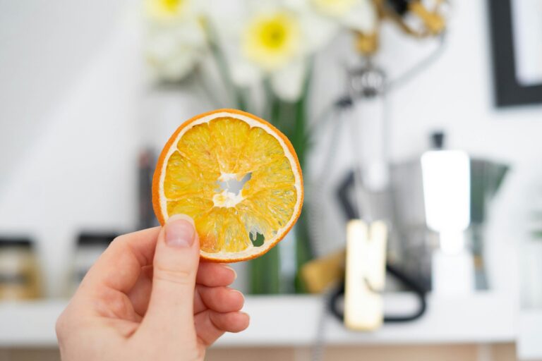 Les techniques intelligentes de séchage des aliments avec l’IA améliorent la qualité et l’efficacité des produits
