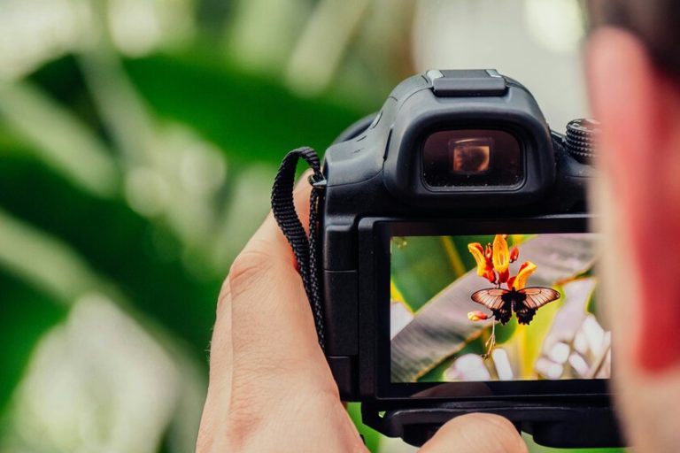 L’IA bouleverse le secteur des banques d’images. Getty Images et Shutterstock ont ​​décidé de fusionner pour résister
