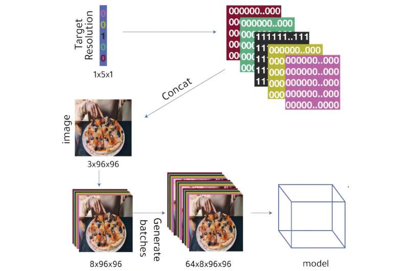 Des scientifiques développent un dispositif permettant de recadrer et de redimensionner automatiquement les images