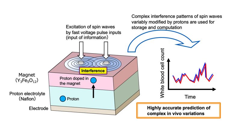 Un dispositif d'IA de nouvelle génération utilise l'interférence des ondes de spin contrôlées par les ions dans les matériaux magnétiques
