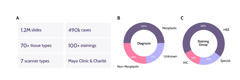 Atlas du cancer par l'IA