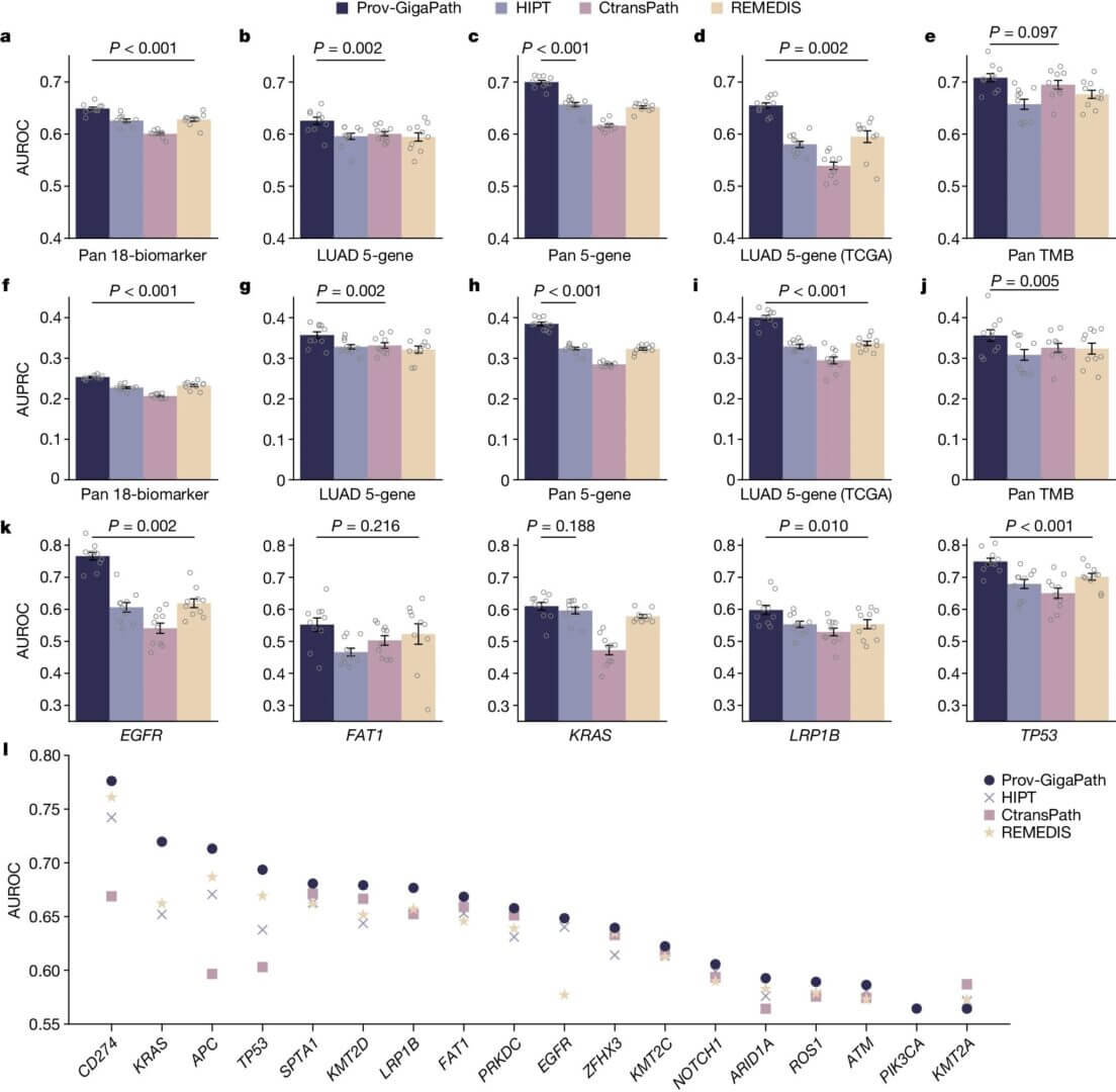 Atlas du cancer par l'IA