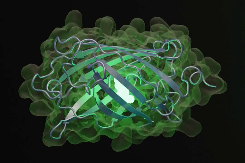 Les ingénieurs ont simulé 500 millions d’années d’évolution avec une IA. Nous avons maintenant une protéine fluorescente