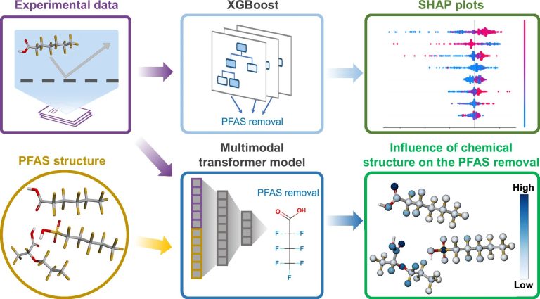L'apprentissage automatique accélère la découverte des membranes pour filtrer les PFA de l'eau
