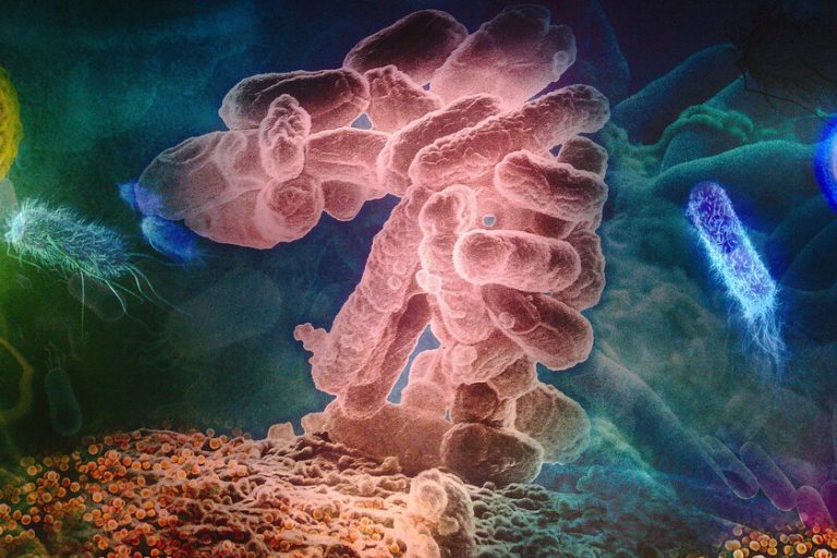 Nous ne savions pas pourquoi certaines superbactéries étaient résistantes aux antibiotiques. Cette IA l'a trouvé dans deux jours
