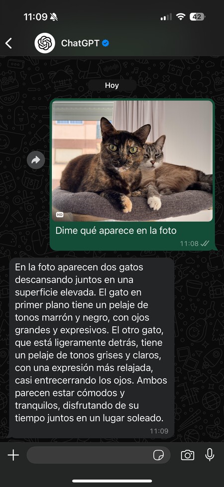 Ce qui apparaît